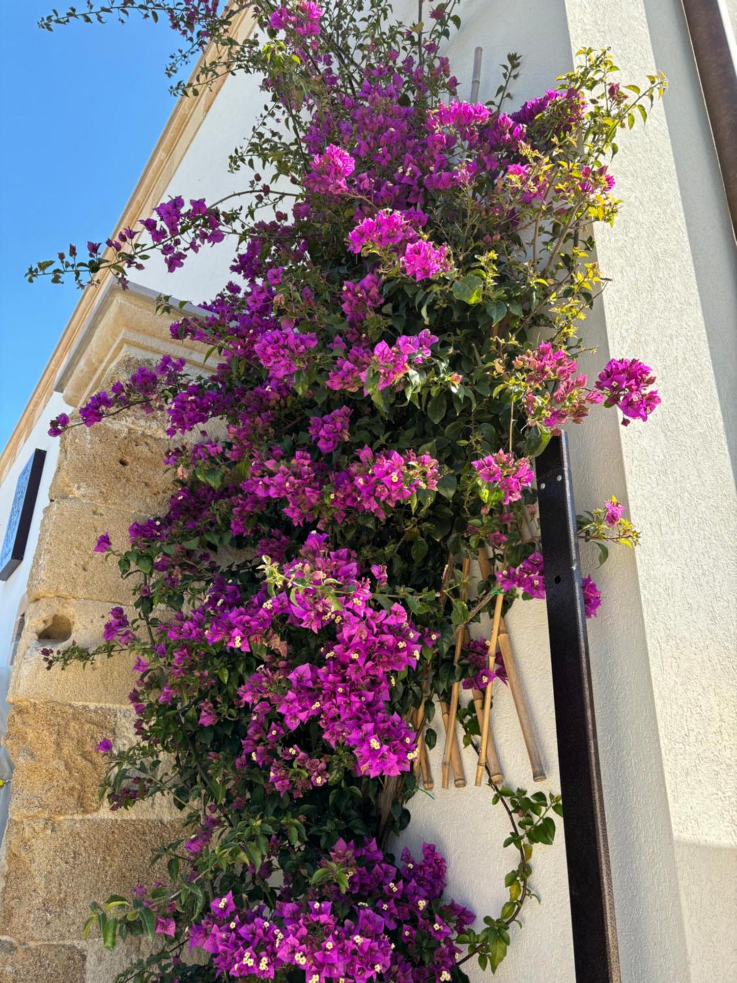 Bed and Breakfast Il Casalino Taranto Esterno foto
